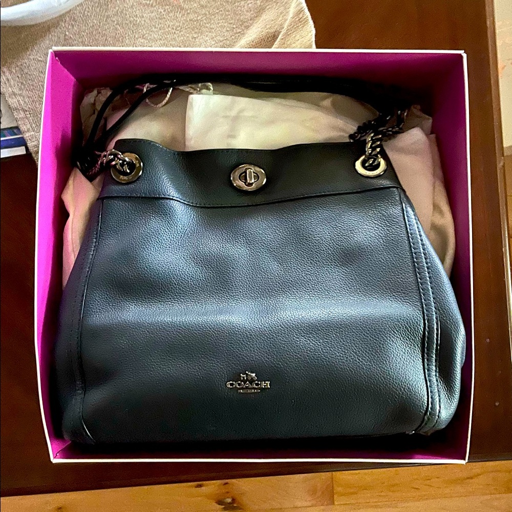 Coach Edie Pebble Shoulder Bag